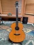 Goodall Jumbo 1996 Rj 929 Guitar. Fixed Price $5000.00.