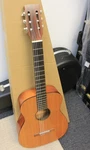 Silvertone 1960'S F53N Solid Wood Classical Acoustic Guitar Made In Usa. Fixed Price $159.99.