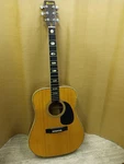 Acoustic Guitar Morris W-40 1974 Jacaranda Finish Natural Made Japan. Fixed Price $650.00.