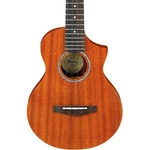 Ibanez UEWT5 Tenor Ukulele, Open Pore Natural. Fixed Price $119.99.