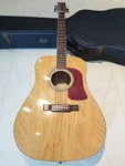 The "bloody Guitar" Includes Photo Of Artist And Guitar. Washburn Acoustic Dl Il. Fixed Price $9999.99.