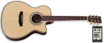 Zager Acoustic Electric Guitar Used By Peter Paul Mary John Denver Martin X Head. Fixed Price $2395.00.