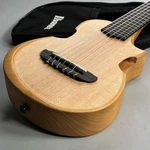Ibanezz AUP10N Opn Mini Tenor Ukulele Size With Sound Ports And Soft Bag. Fixed Price $758.87.