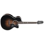 Takamine EF450C Ttt Bb Acoustic-electric Guitar W/semi-hard Case. Fixed Price $4599.00.