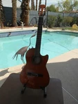 Hohner Profrssional Thin Body Model No, HAG21 Acoustic Electric Guitar. Fixed Price $1200.00.