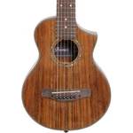 Ibanez EWP14 Travel Acoustic Guitar, Ovangkol Top. Fixed Price $199.99.