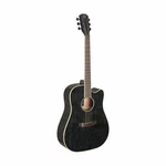 Jn Guitars Yakisugi Acoustic Electric Dreadnought Black Yak-d. Fixed Price $329.99.