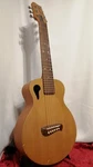 Tacoma P-1 Papoose Electric Acoustic. Fixed Price $1619.75.