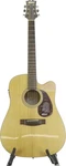 Mitchell T311CE Dreadnought Acoustic-electric Guitar Blemish. Fixed Price $159.25.