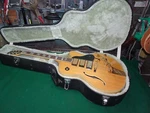 Washburn J-6S Hollow Body String Electric 3PU Bigsby. Fixed Price $1199.99.