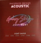Galaxy Phosphor Bronze Acoustic Musical Strings Light Gauge. Fixed Price $7.99.