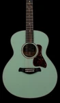 Taylor Custom Shop Gold Label C14E B6007 - Fern Green #76088. Fixed Price $4299.00.