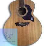 Washburn J28S12DLK Guitar Used Condition. Fixed Price $618.71.
