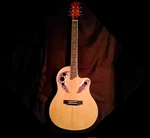 Pros Or Beginners! Style Acoustic Guitar +soft Case/gig Bag +rosewood Fb!. Fixed Price $174.48.