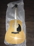 Zager Ez Play String Guitar & Accessories - Value $795.00 + $399 Free Lessons. Fixed Price $499.00.