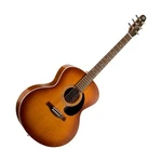 Seagull Entourage Rustic Mini Jumbo Guitar. Fixed Price $791.82.