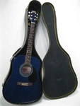 Stagg Handmade Western Acoustic Guitar SW205TB W/case Missing Strings. Fixed Price $237.32.