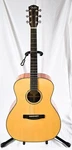 Fender GA-43S Acoustic Deadnoght Full Size Guitar With Hard Shell Case. Fixed Price $600.00.