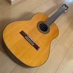 Aria Ak Vintage Acoustic Guitar Spruce Rosewood Mahogany Thin Neck. Fixed Price $508.70.