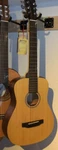 Ami Sigma Guitars Travel TG-120 3/4 Size + Boston Bag *exhibitor*. Fixed Price $351.04.