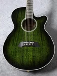 Takamine TDP181AC Sbb Acoustic Electric Guitar With Hard Case From Japan. Fixed Price $2489.99.