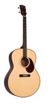 Gold Tone TG-10 New Authorized Dealer. Fixed Price $479.99.