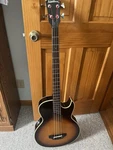 Washburn AB-20 Acoustic-electric Bass With Original Case. Fixed Price $499.00.
