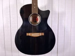 Eastman PCH3-GACE-TBK M2230019. Fixed Price $659.00.