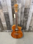 Ibanez EWN28KOENT 1201 (P31015151). Fixed Price $300.00.
