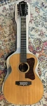 Vintage 1965 Guild F-312 String Acoustic Guitar. Fixed Price $2779.00.
