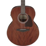 Ibanez AJ54E Acoustic Electric Guitar - Open Pore Natural. Fixed Price $399.99.