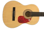 Parker Mccollum Signed Autograph Full Size Fender Acoustic Guitar W/ Psa Coa. Fixed Price $1799.95.