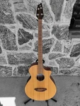 Breedlove ABJ250/SM4 4-STRING Acoustic Bass With Case. Fixed Price $499.99.