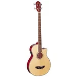 Oscar Schmidt OB100N Acoustic Electric Bass With Gig Bag Natural Finish. Fixed Price $299.95.