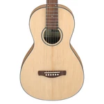Used Ibanez PN2MD Acoustic Guitar - Open Pore Natural. Fixed Price $139.99.