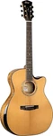 Cort Goldedgenat. Fixed Price $1999.99.