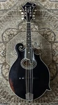Eastman MD814/V-BK Style Mandolin Antique Varnish W/ Hard Case & Free Setup. Fixed Price $2669.00.