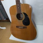 Pro Martin Acoustic Guitar Natural 6-STRING Vintage Collection. Fixed Price $411.98.