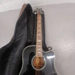 Urban Guitar Collection American Vintage Acoustic. Fixed Price $195.00.