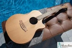 Cole Clark AN1EC-BB Pro Set Up W Perfect Frets/action/intonation. Fixed Price $1899.00.