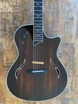 Taylor T5-C2 Limited Edition Macassar Ebony 2007. Fixed Price $2182.61.