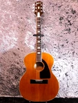 Epiphone FT-110B Flontier S1955 Jacaranda Vintage Acoustic Guitar. Fixed Price $5470.00.