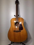 Fender F-210S (P15027783). Fixed Price $166.00.