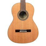 Ortega R20GSNWN Traditional Series Slim Neck Nylon-string Guitar W/gig Bag. Fixed Price $999.99.