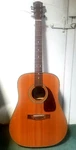Fender Acoustic GUITAR-DG21S Nat. Fixed Price $250.00.