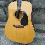 Acoustic Guitar Aria Dreadnought D80 Natural Jacaranda With Hard Case. Fixed Price $1126.00.