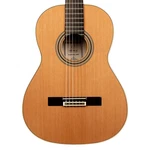 Ortega R20GRG Traditional Series Nylon-string Acoustic Guitar W/gig Bag. Fixed Price $999.99.