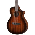 Breedlove Pro Ce Allafrican Mahogany Companion Ae Guitar Suede 197881446642 Rf. Fixed Price $639.20.