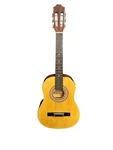 Torino C61T Acoustic Guitar. Fixed Price $89.95.