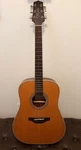 Takamine Series GD20 Dreadnought Solid Top Acoustic Guitar Satin Natural. Fixed Price $215.00.